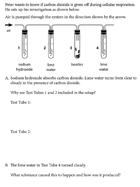 Study question 4